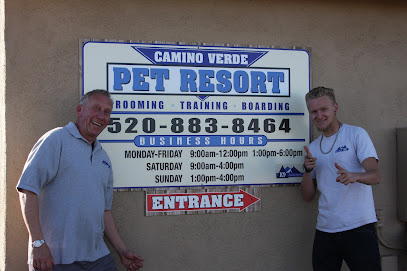 Camino Verde Pet Resort - Dog and Cat Boarding in Valencia Tucson