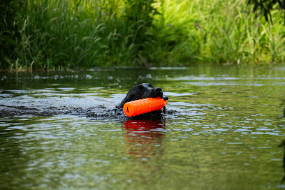 Aylsham Dog Training