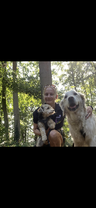 Funbound - Home Boarding / Dog Walking/ Dog Running