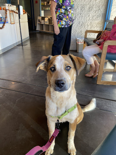 Mesquite Veterinary Hospital