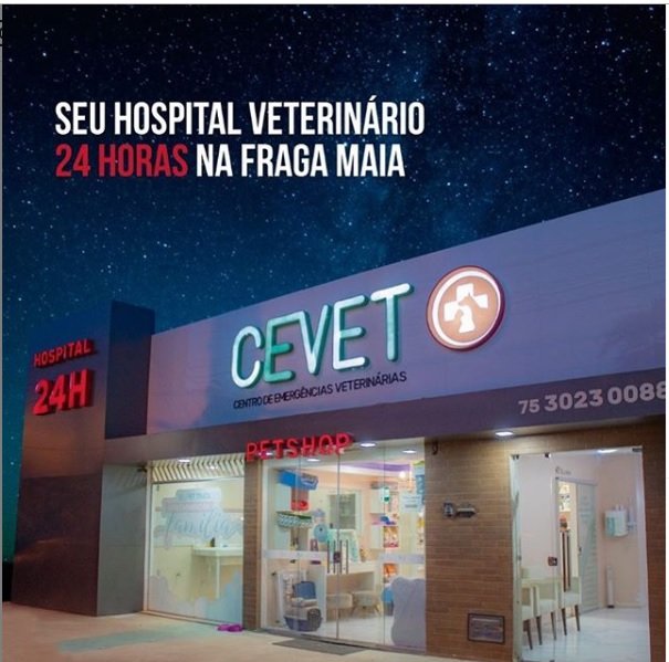 Centro Veterinario