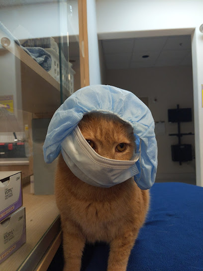 Cañada Hills Animal Hospital