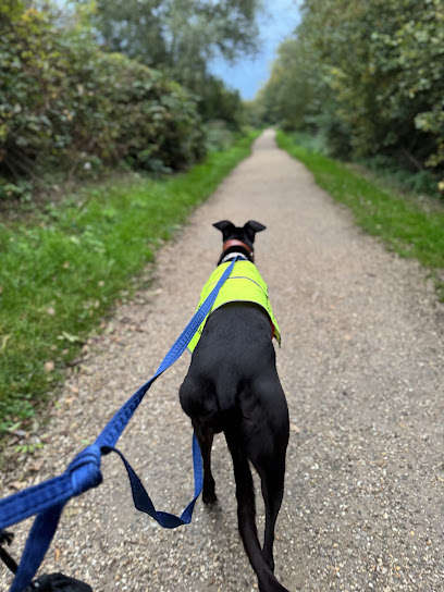 Meadow Mutts Norfolk