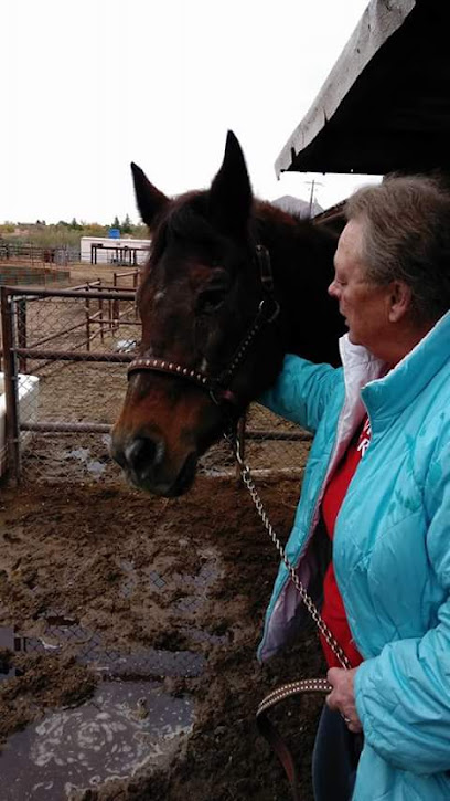 East Prospect Lane Boarding Stables