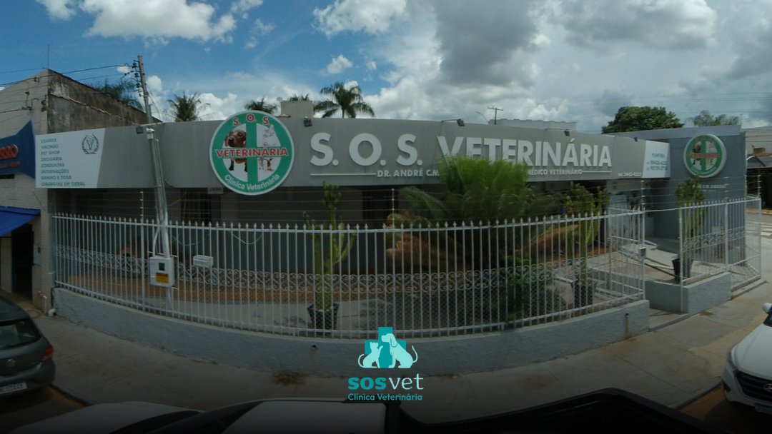 S.O.S Clínica Veterinária