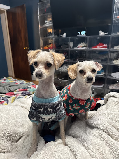 Crystal Pet Grooming