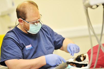 Eastcott Vets Clinic & 24 hr Vet Hospital - Edison Park | Swindon