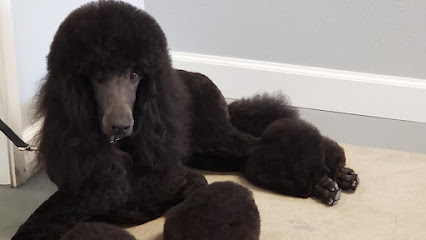 Wooforia Grooming Salon