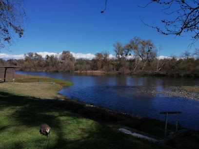 Riverside Pup Paradise - In-home boarding for small dogs CLOSED