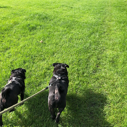 Bright Eyes Pet Care