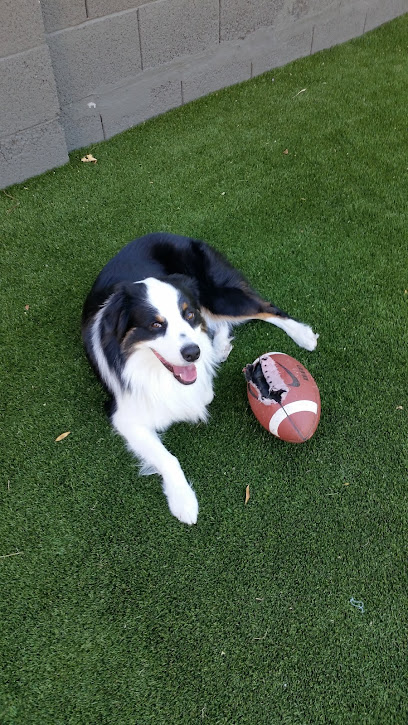 Kelley's Sitting Services