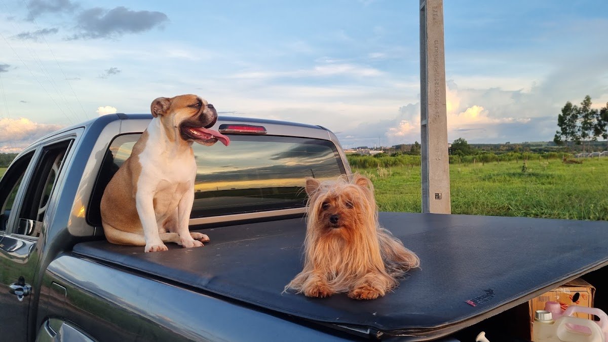 Casa do Veterinário