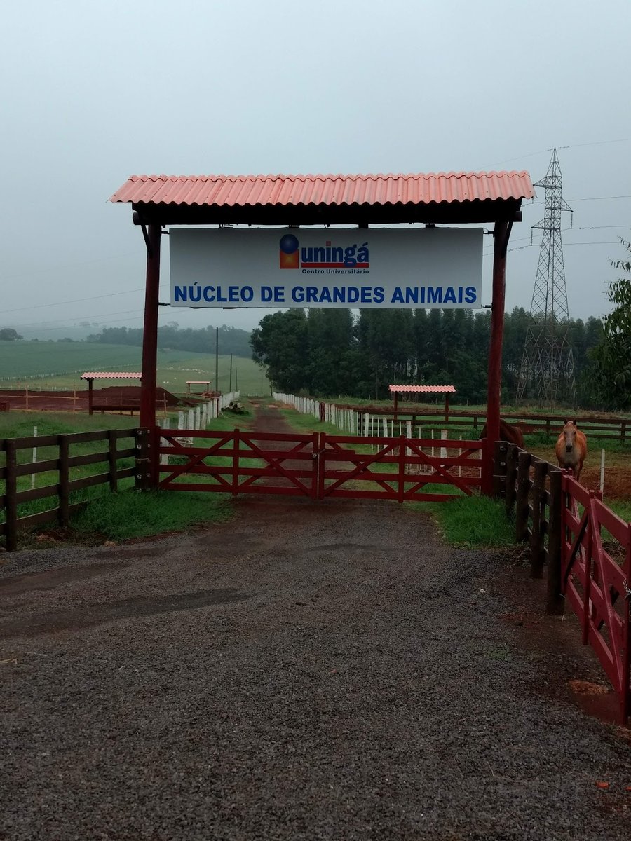 Nucleo Veterinario Uninga