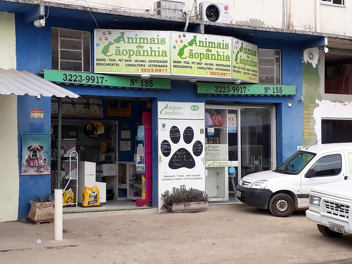 Animais De Cãopanhia