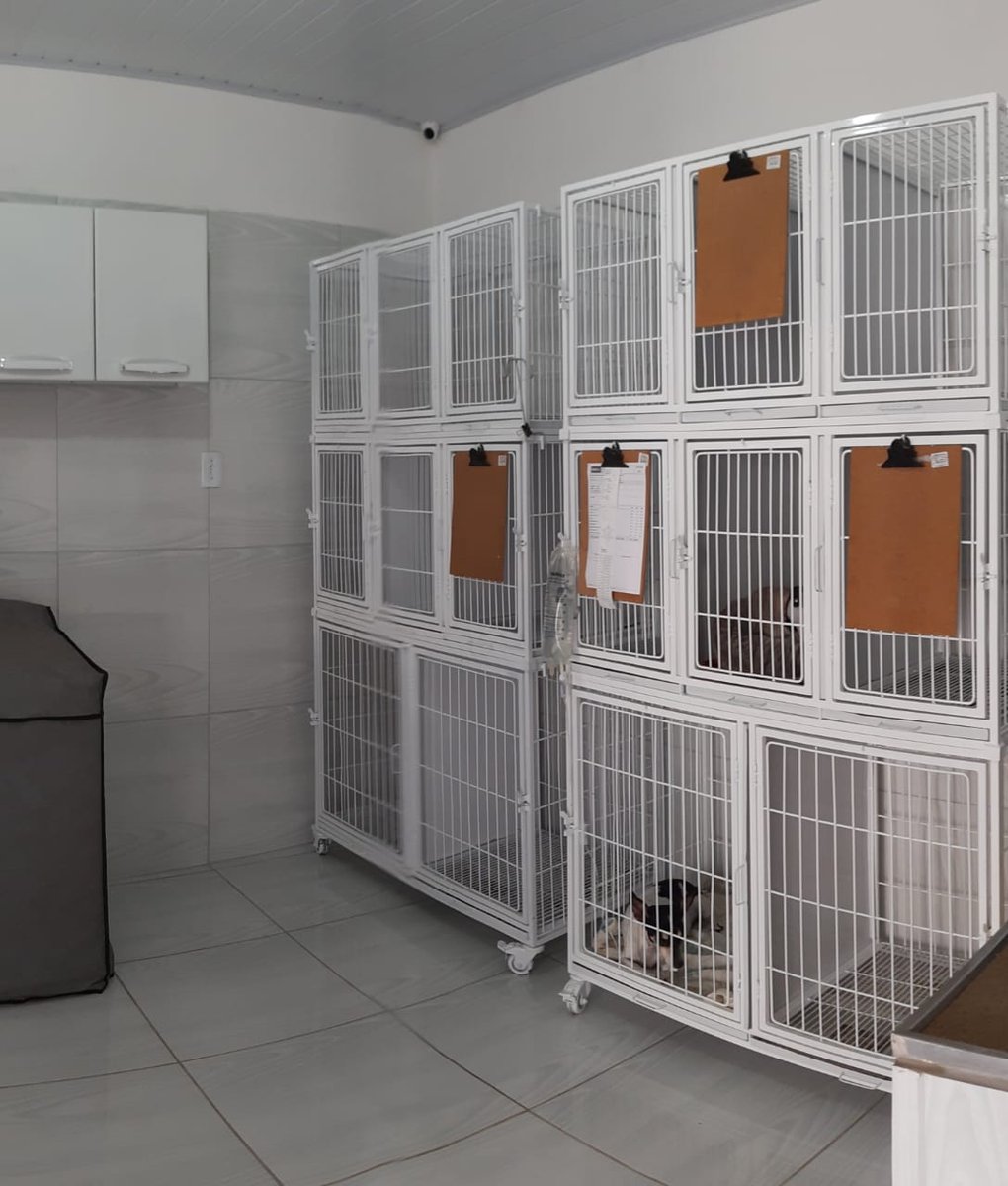 Clinvet Clínica Veterinária