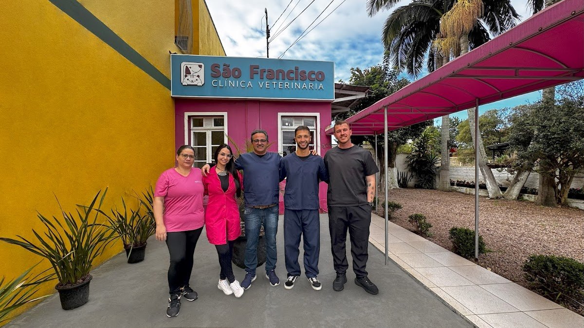 Clínica Veterinária São Francisco