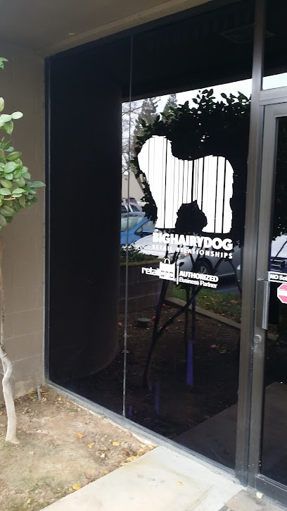 Big Hairy Dog Information Systems