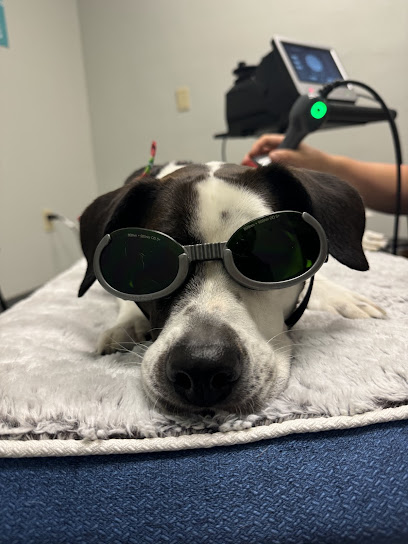 Thrive Animal Rehabilitation