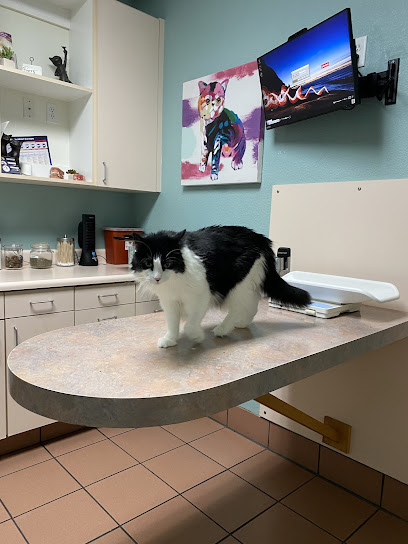 Arden Animal Hospital