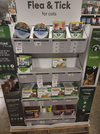 PetSmart Dog Training