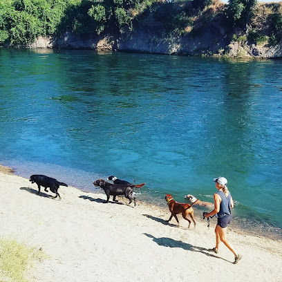eXtreme K9s - Sacramento's Extreme Dog Walking Company
