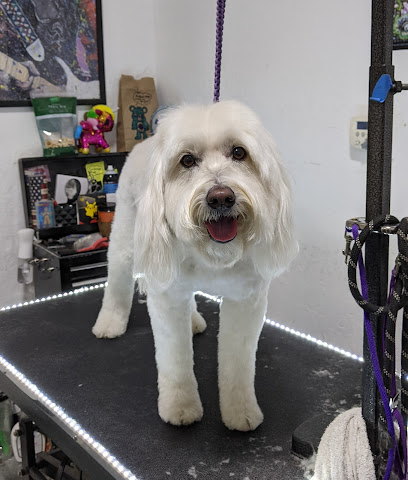 Elk Grove Mobile Dog Grooming