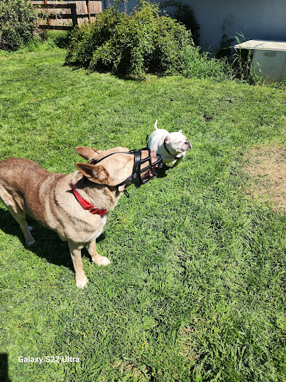 Barkingham Manor Sacramento