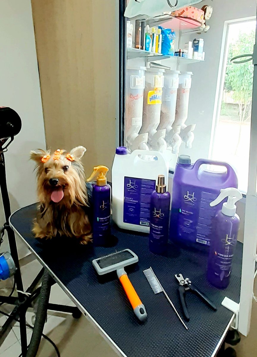 Pet Shop Bem Estar animal