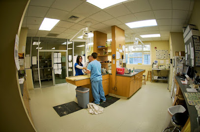 Treehouse Animal Clinic