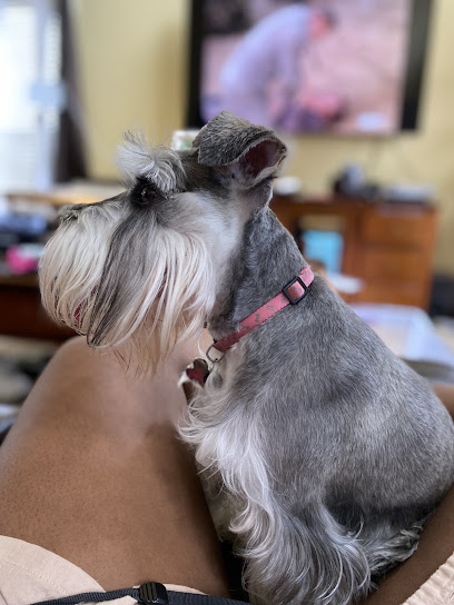 The Pet Set- Mobile Grooming Spa