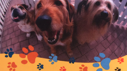 Domo'z Doggy Daycare LLC.