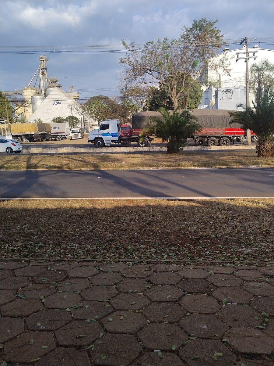 Y M Pet Produtos para Animais de Estimac