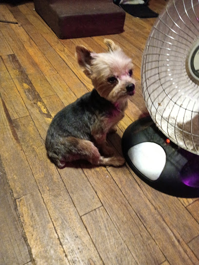 Coronado Dog Grooming