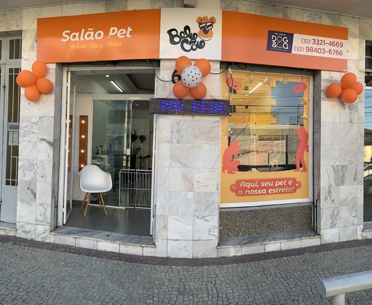 Belo Cão Banho e Tosa