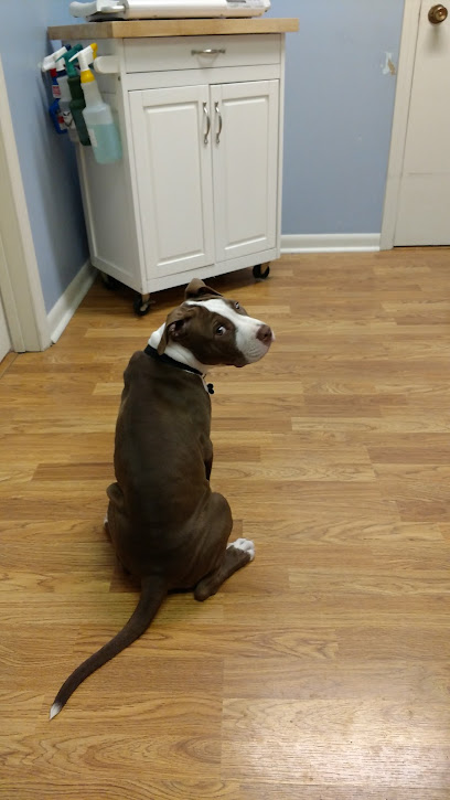 Turner Animal Hospital