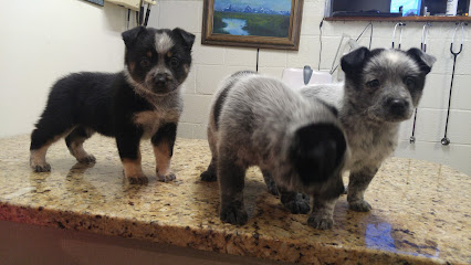 Coronado Animal Hospital