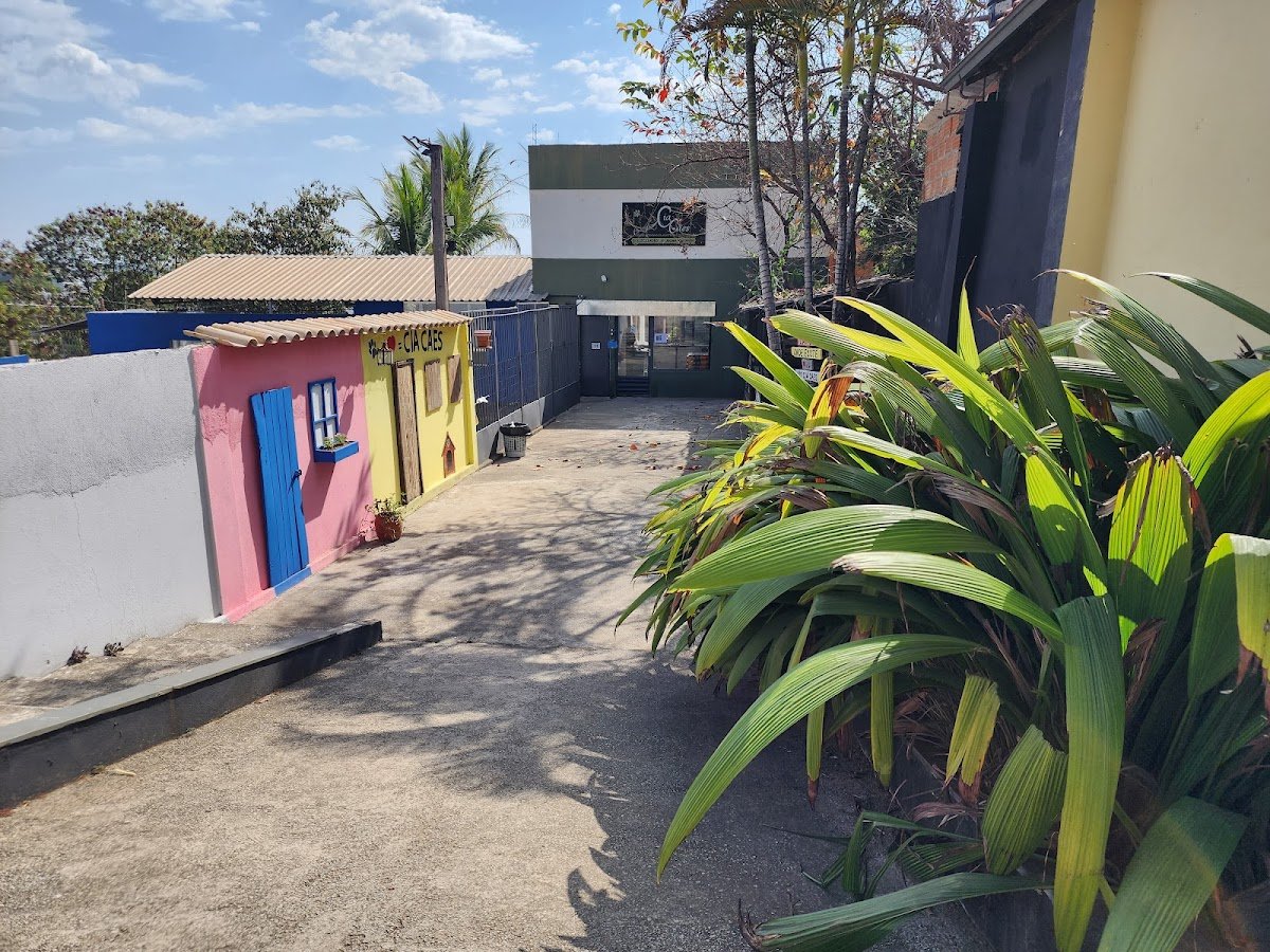 Spa Cia Cães Petshop