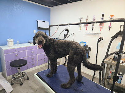 Paisley Paws Grooming