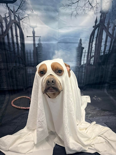 Pete & Mac's Pet Resorts