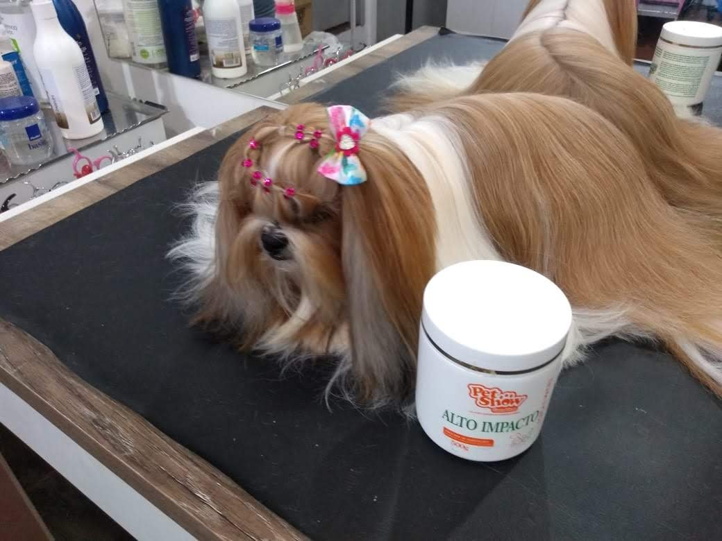 Teca Estética Animal