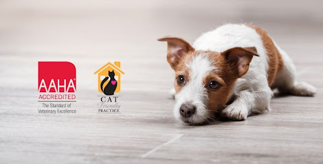 Ark Animal Hospital - Kansas City