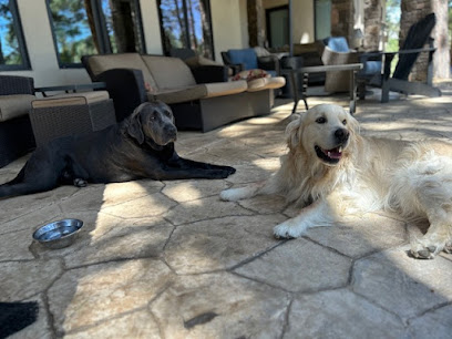 Pollywog's Pet Sitting