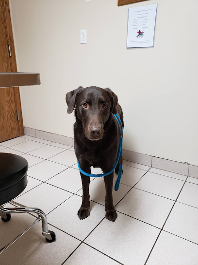 Fillmore Veterinary Hospital