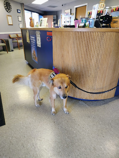 Ridgewood Animal Hospital