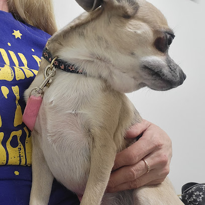 Animal ER Care - Central