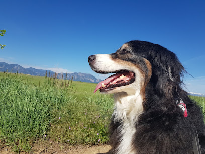 Superior Pet Services