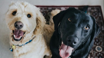 Meemah and Bone Pet Sitting