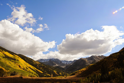 Animal Allergy & Dermatology of Colorado