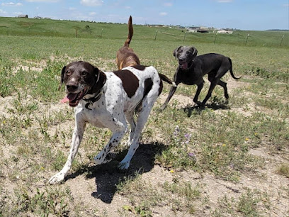 Double J Dog Boarding Kennel