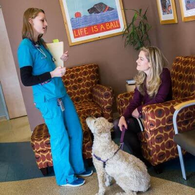 Southern Colorado Veterinary Internal Medicine